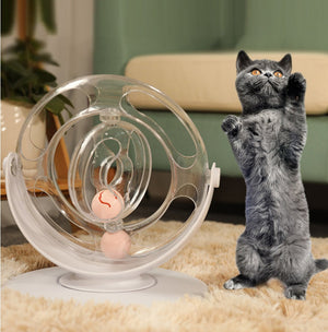 Unlock the Fun with the Interactive Turntable Educational Pet Toy