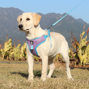 The Ultimate Comfort for Your Pet: Breathable Pet Harness Adjustable Leash