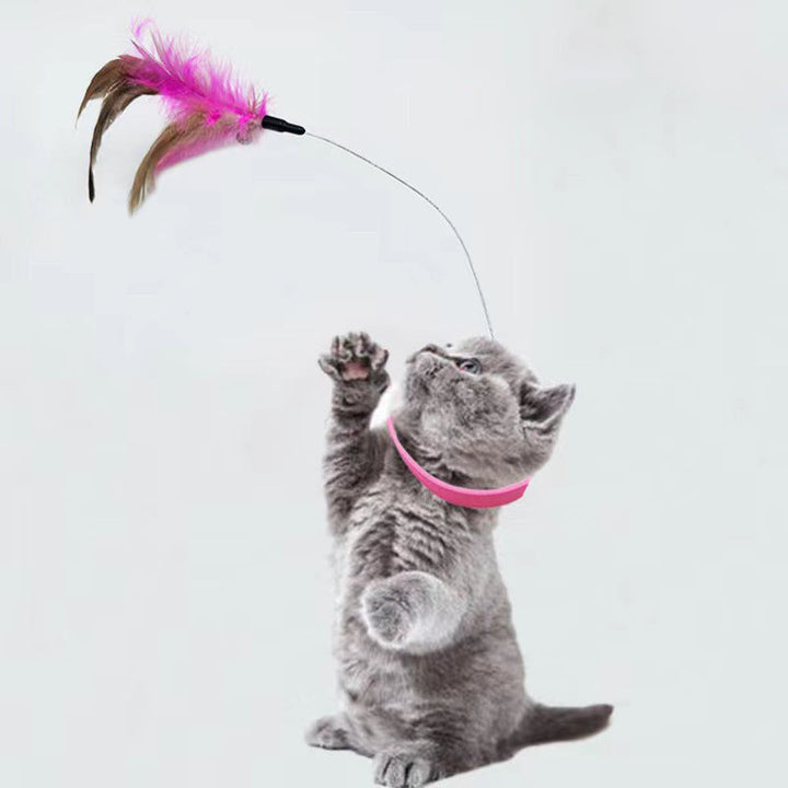 Discover the Joy of Play with Our Pet Collar Toy