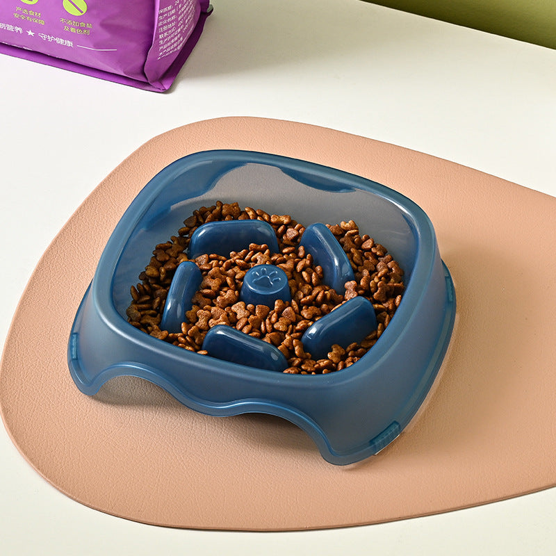 Pet Slow Feed Anti-Choke Water and Food Bowl