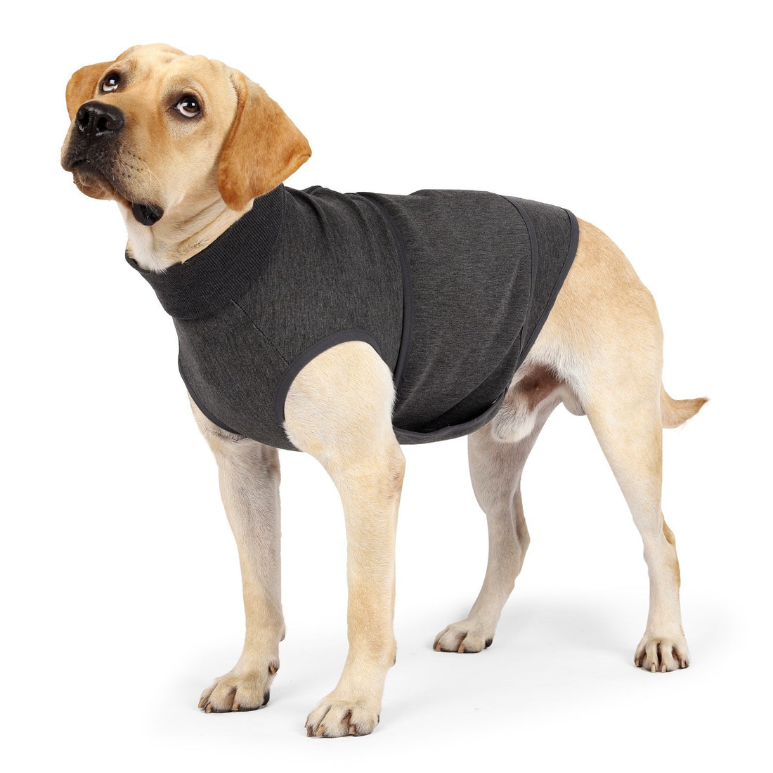 Pet Cotton-Blend Comfort Double-Layer Jacket