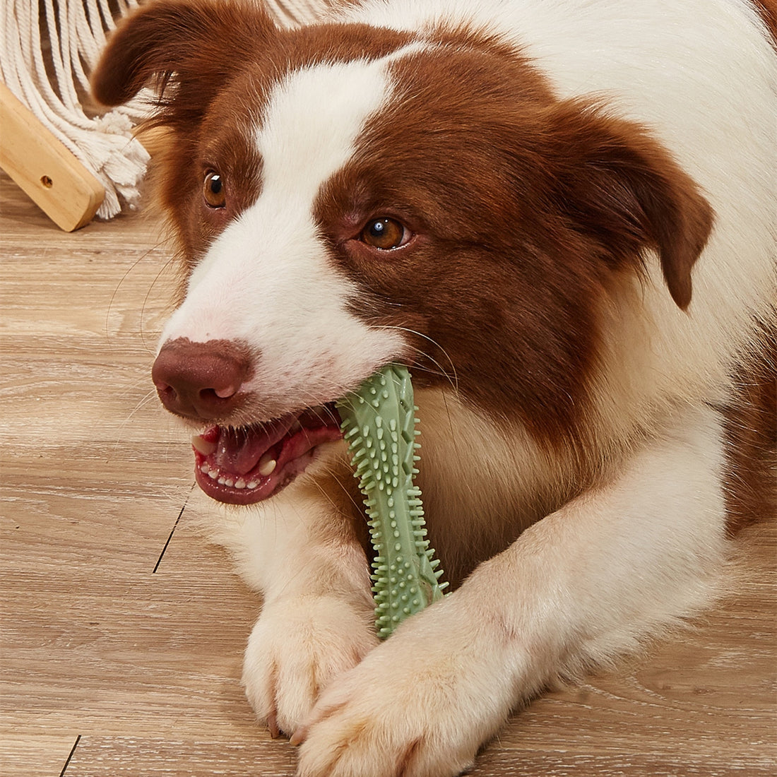 Pet Chew Toys For Teeth Cleaning