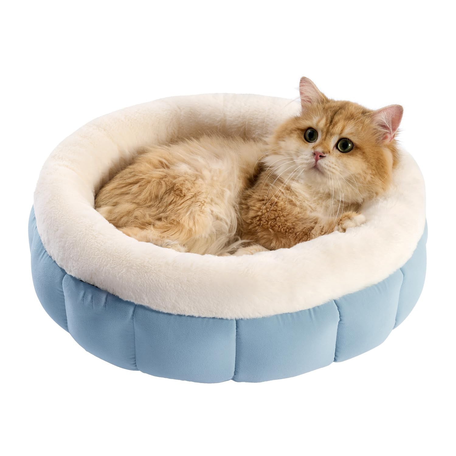 Donut Shaped Pet Bed Soft Round Washable Cushion
