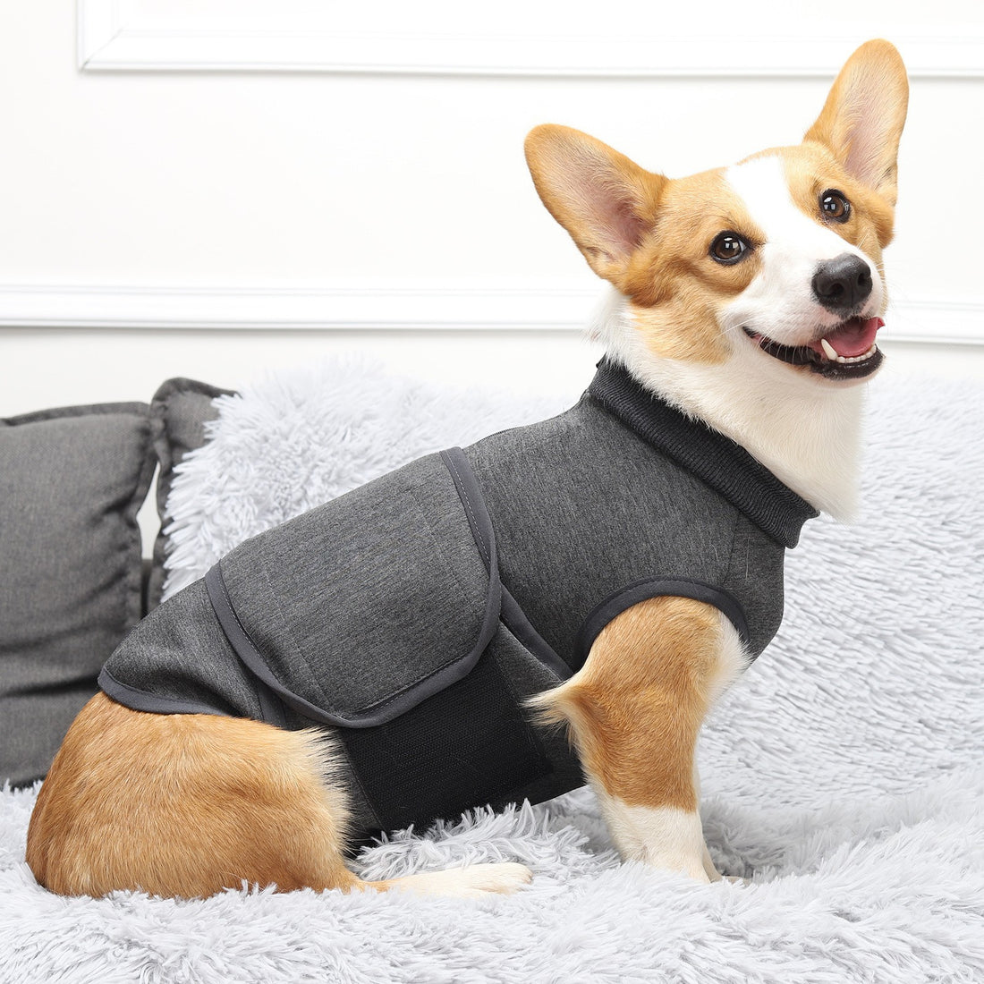 Pet Cotton-Blend Comfort Double-Layer Jacket