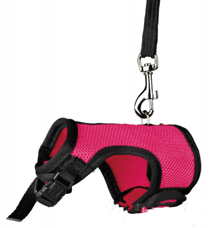 Small Adjustable Pet Leash Durable Walking Rope