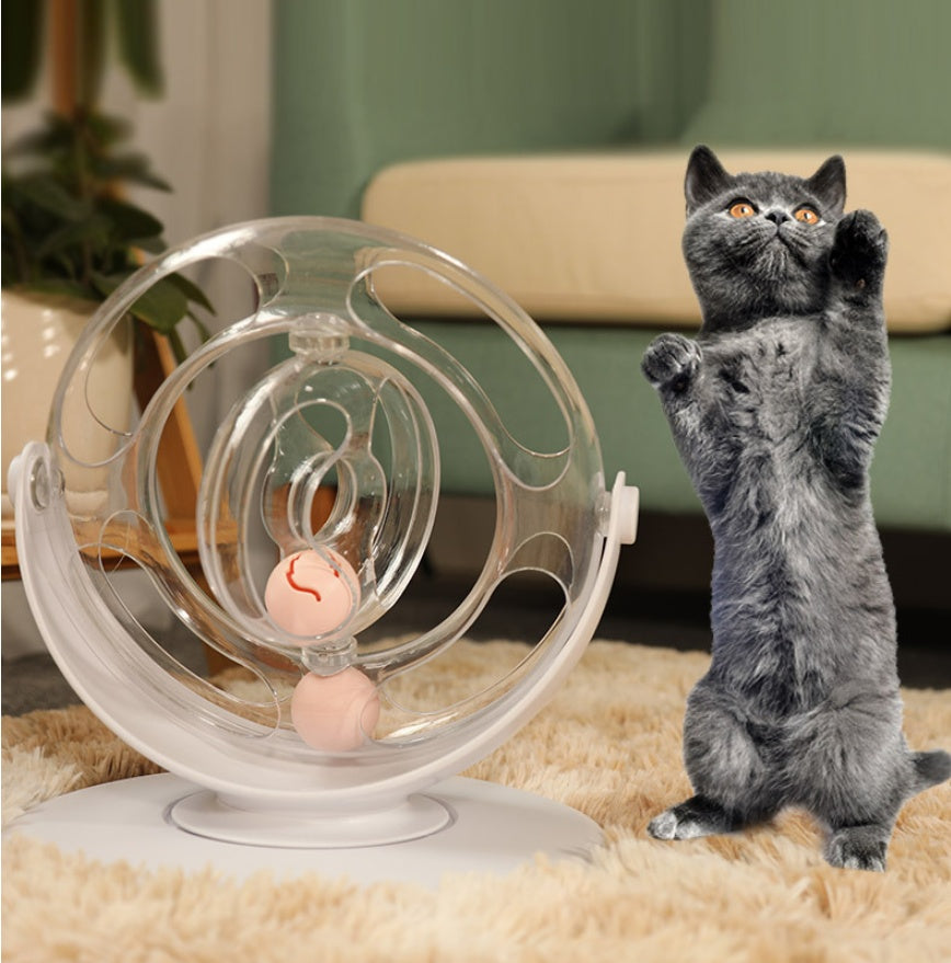 Interactive Turntable Educational Pet Toy