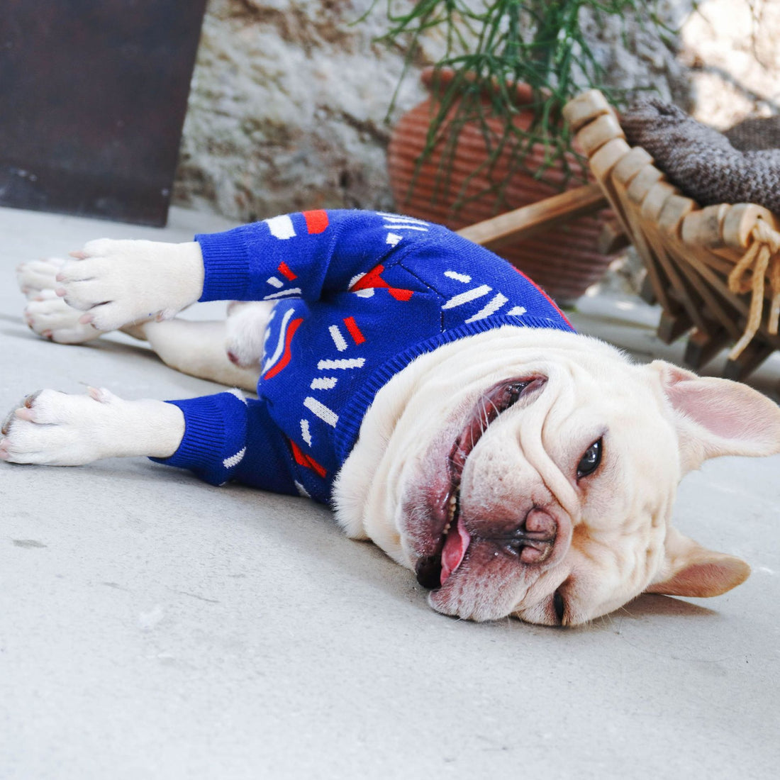 Floral Knit Pet Sweater Cardigan