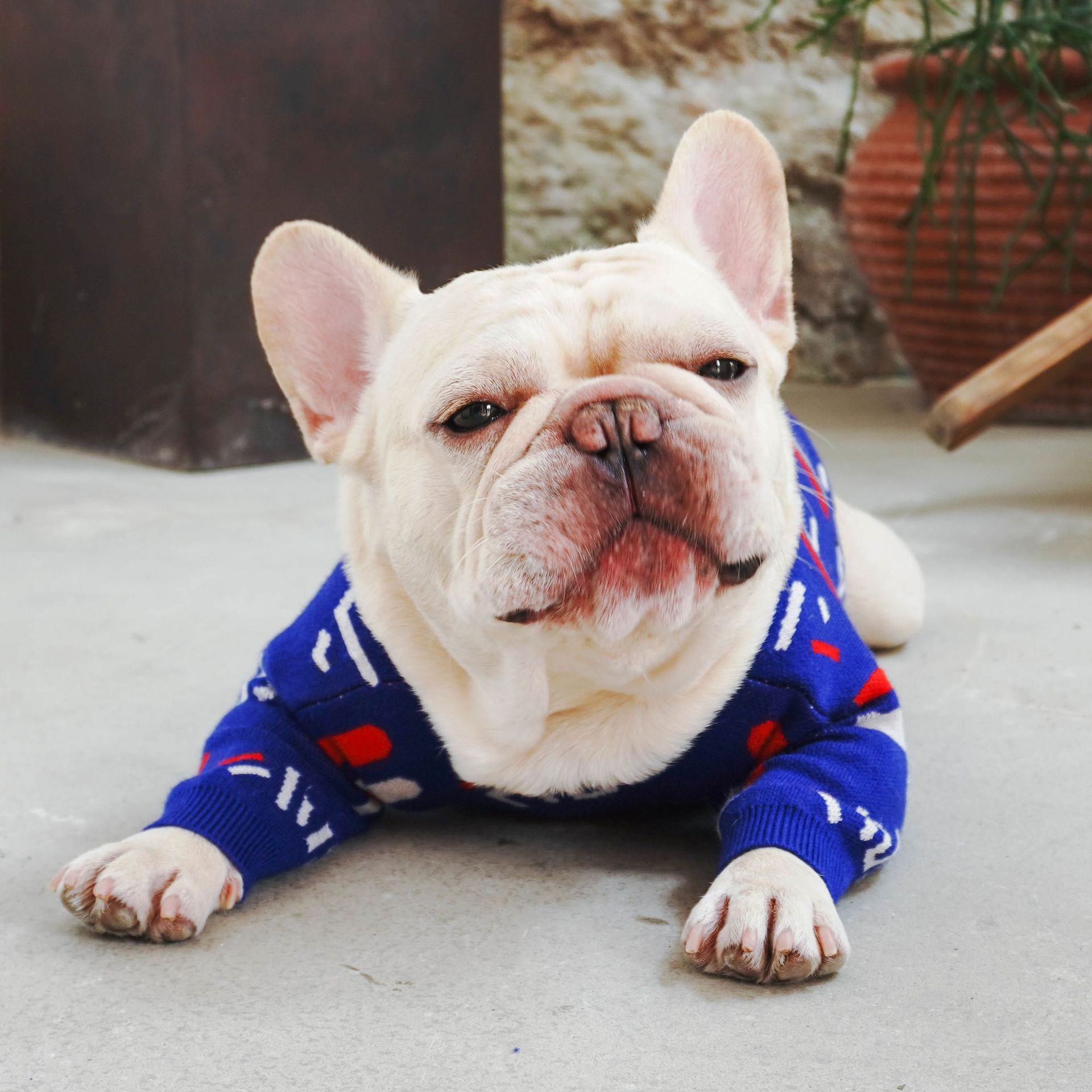 Floral Knit Pet Sweater Cardigan