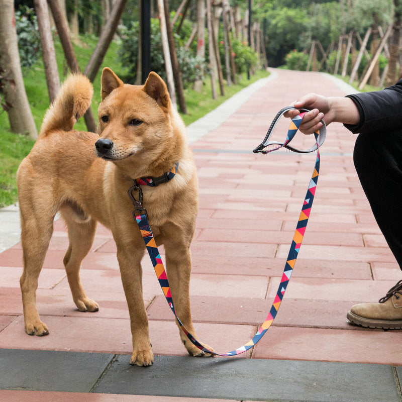 Durable Pet Leash Adjustable Walking Rope