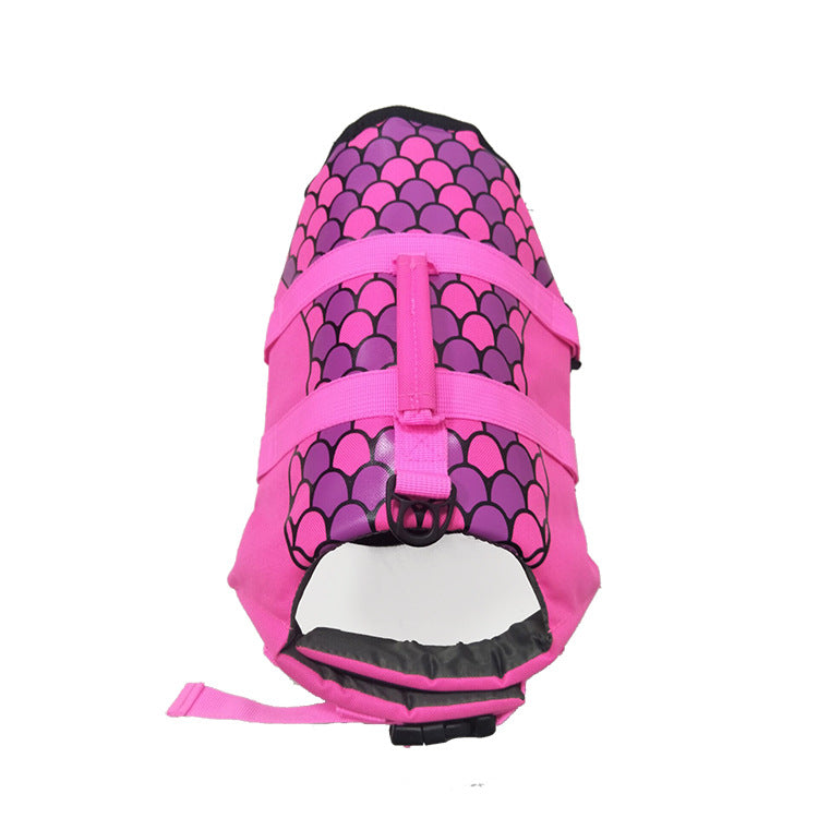 Essential Bathing Supplies And Accessories For Pets