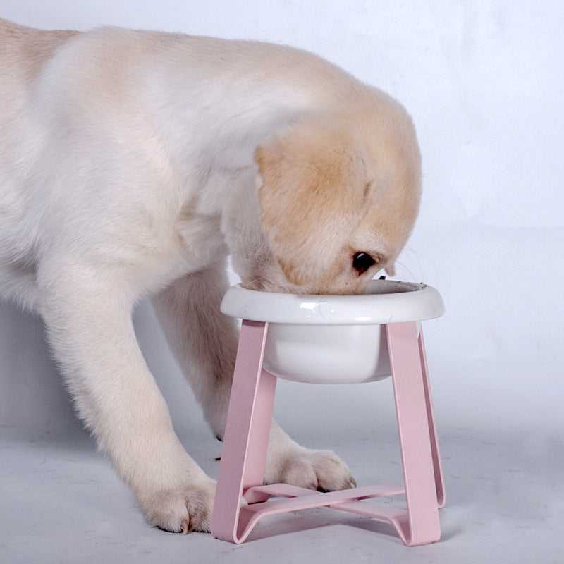 2-in-1 Pet Feeding Bowl Antislip Food and Water Feeder