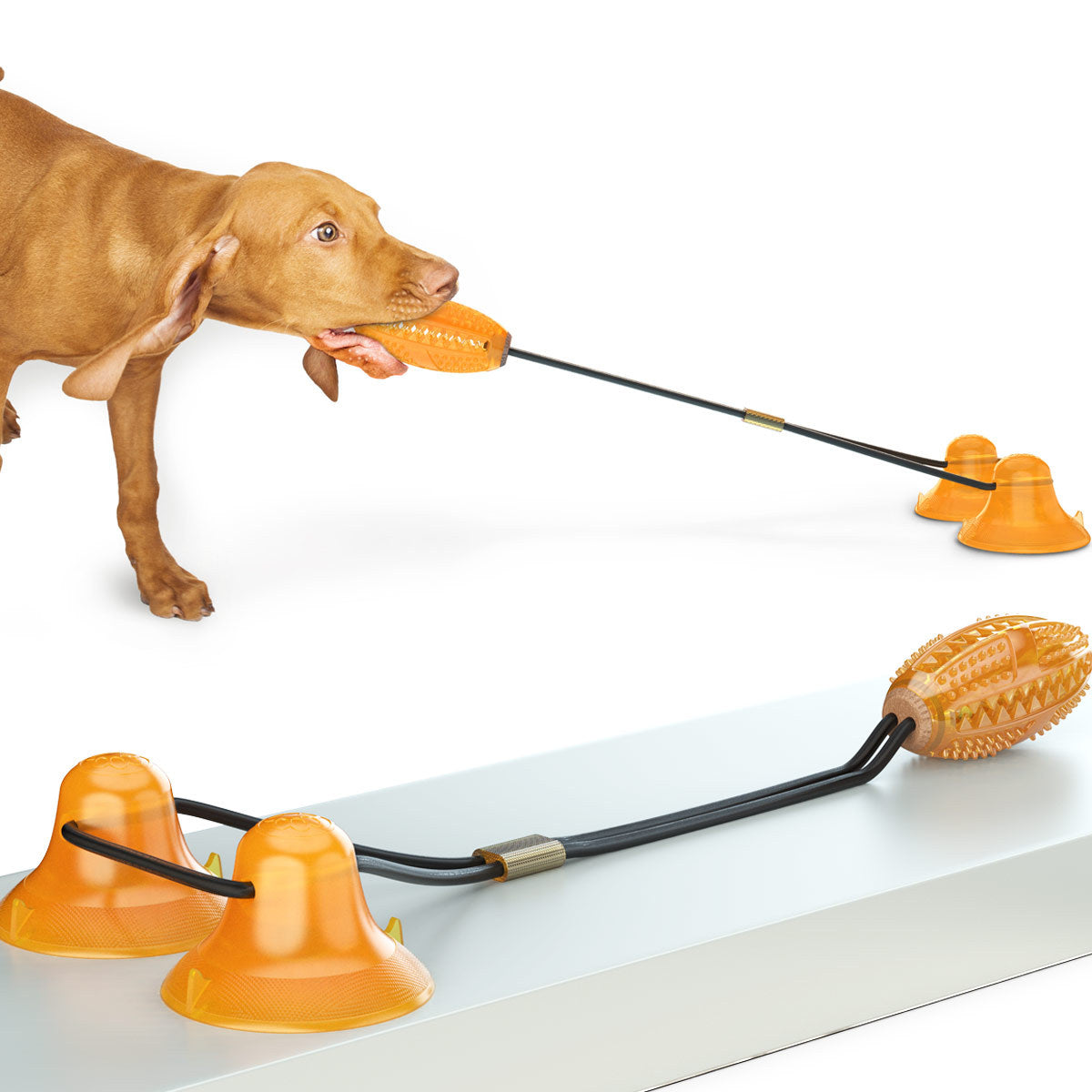 Multifunction Double Tug Rope Interactive Pet Toy