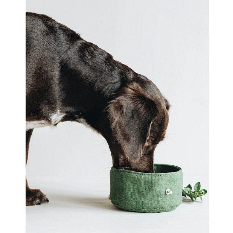 Folding Pet Travel Bowl Portable Water and Food Dish
