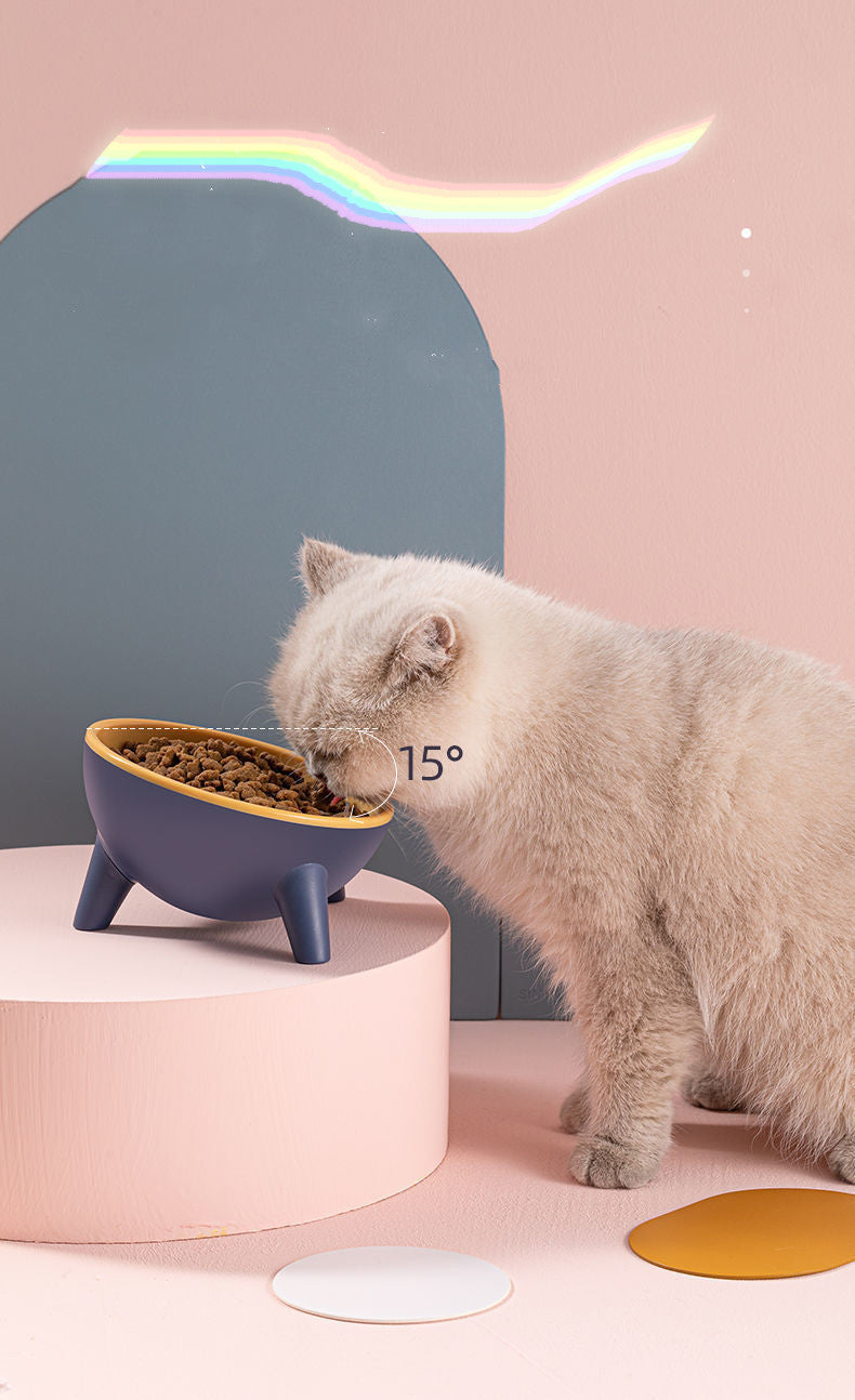 Elevated Pet Feeding Bowl Stand for Food and Water