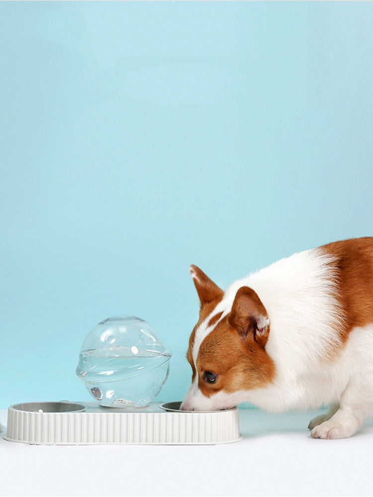 Automatic Plastic Pet Water and Food Bowl Feeder