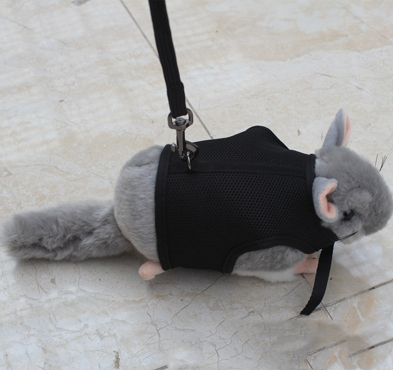 Small Adjustable Pet Leash Durable Walking Rope