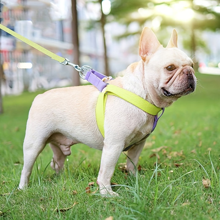 Rainbow Colorblock Pet Harness Set Anti Escape Vest