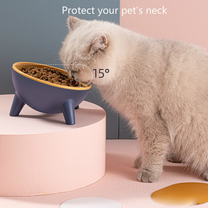 Elevated Pet Feeding Bowl Stand for Food and Water