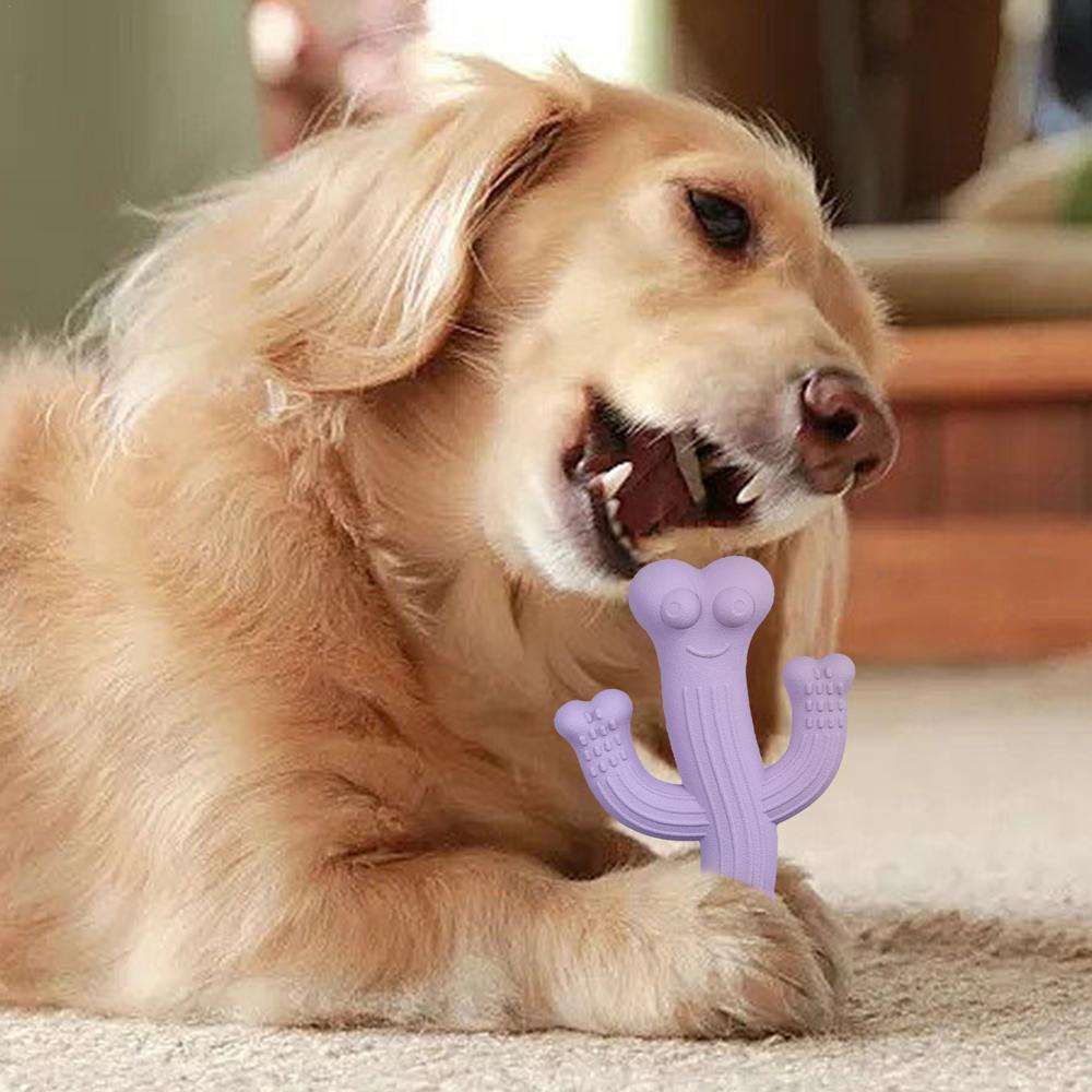 Cactus Chew Toy Durable Interactive Pet Toy