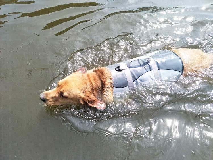 Essential Bathing Supplies And Accessories For Pets