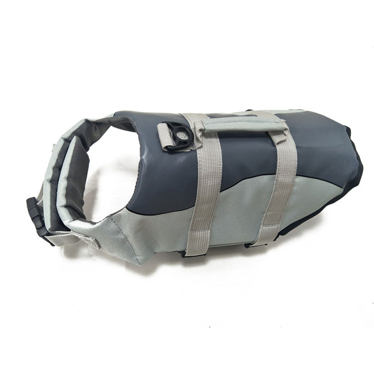 Essential Bathing Supplies And Accessories For Pets
