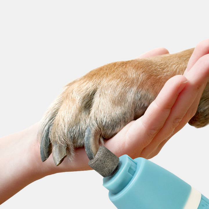 Pet Nail Polisher And Hair Trimmer Dual Purpose Grooming Tool