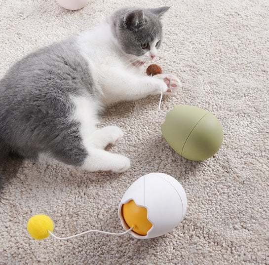 Funny Interactive Pet Toy