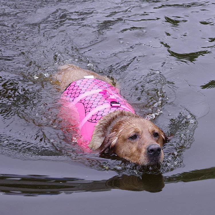 Essential Bathing Supplies And Accessories For Pets