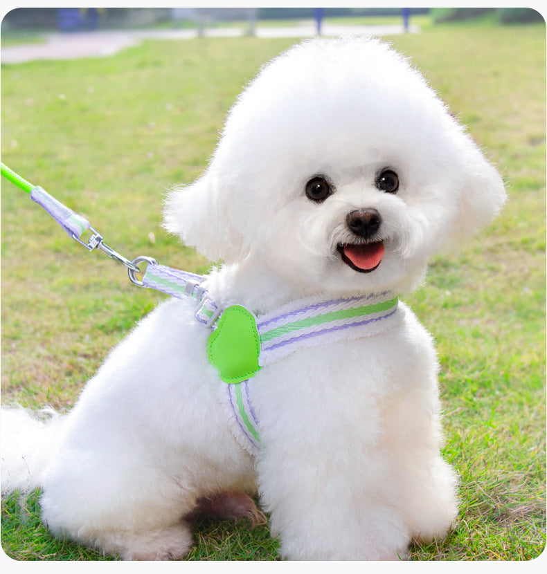 Breathable Summer Pet Harness Leash Small Medium
