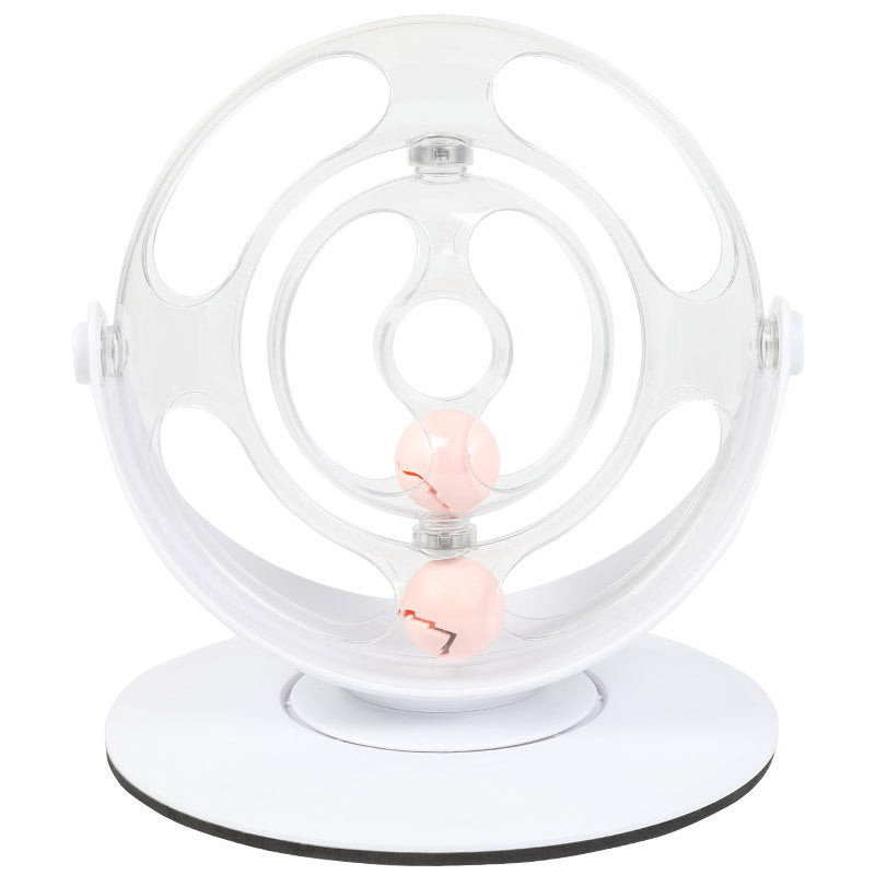 Interactive Turntable Educational Pet Toy