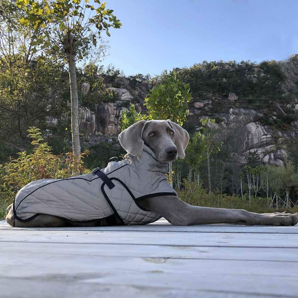 Pet Reflective Tactical Full-Body Jacket Clothing