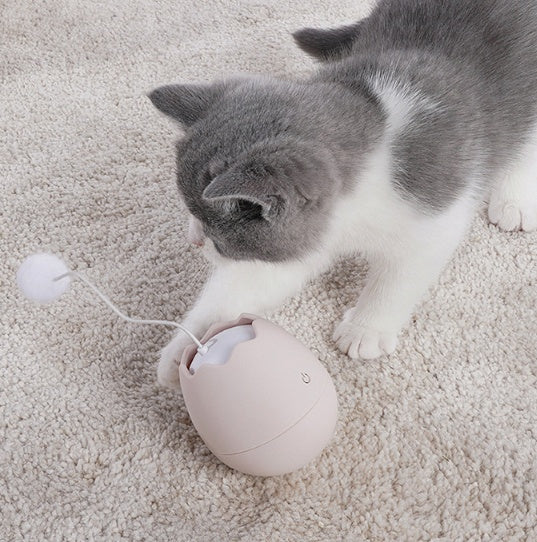 Funny Interactive Pet Toy
