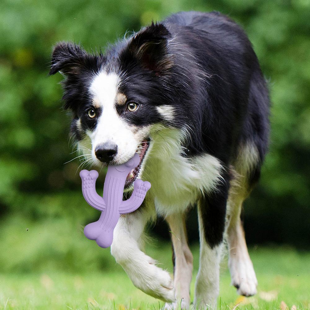 Cactus Chew Toy Durable Interactive Pet Toy
