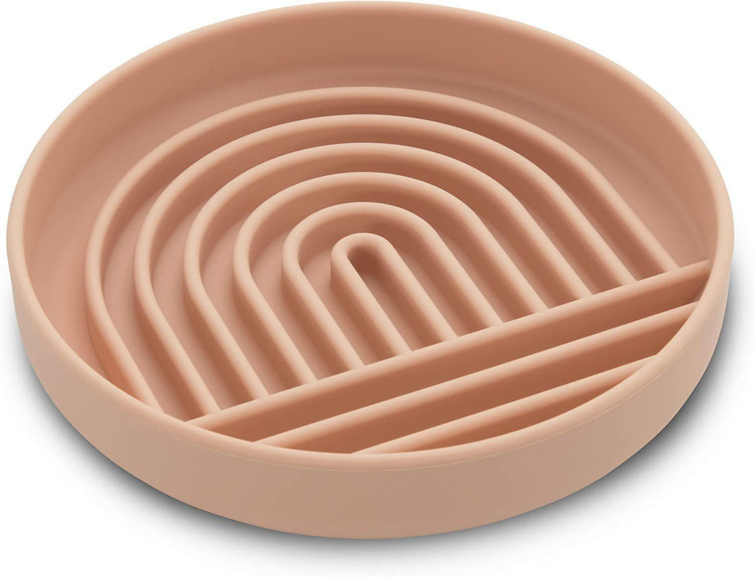Pet Slow Feeding Bowl Anti-Choke Food Dish