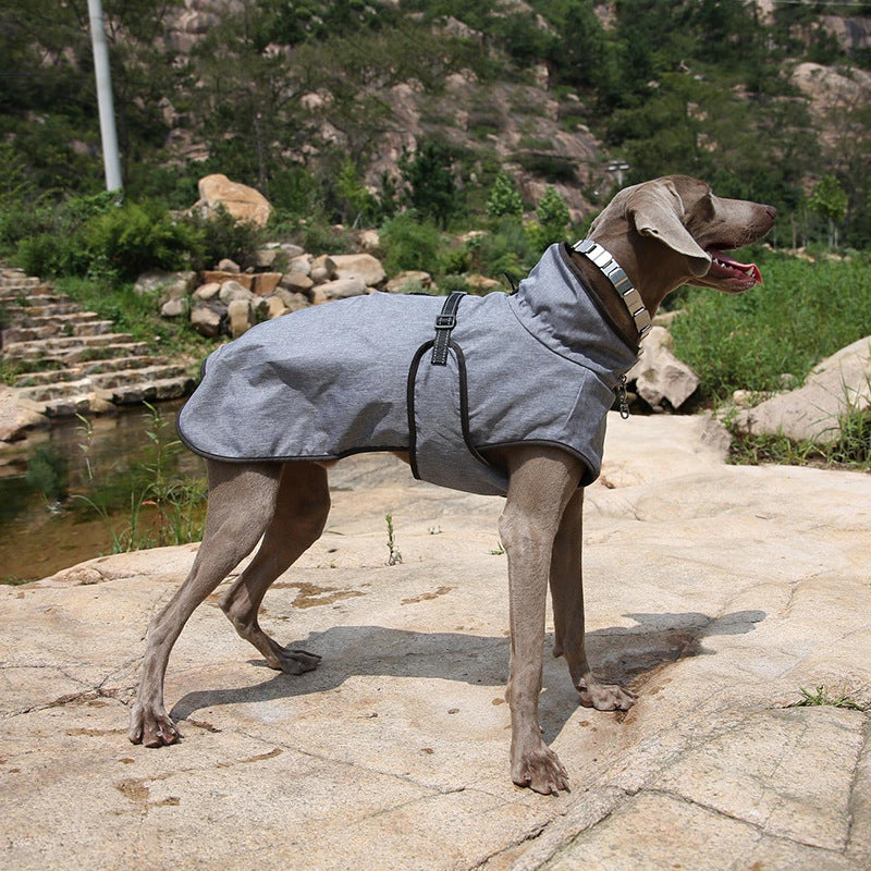 Warm Waterproof Pet Shell Jacket for Winter Outdoors