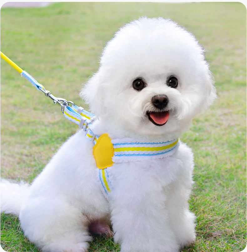 Breathable Summer Pet Harness Leash Small Medium