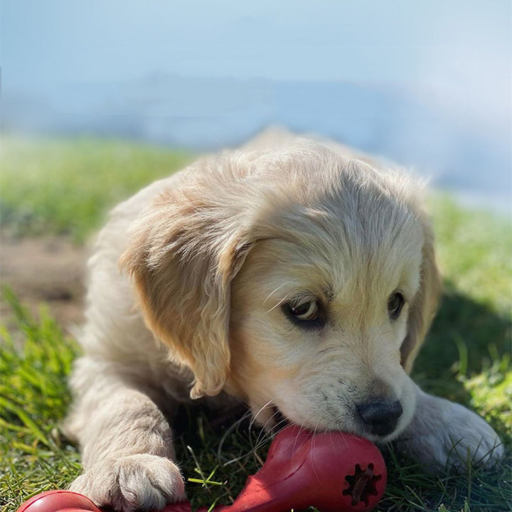 Bite Resistant Rubber Chew Toy For Pets