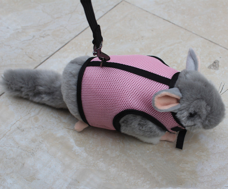 Small Adjustable Pet Leash Durable Walking Rope