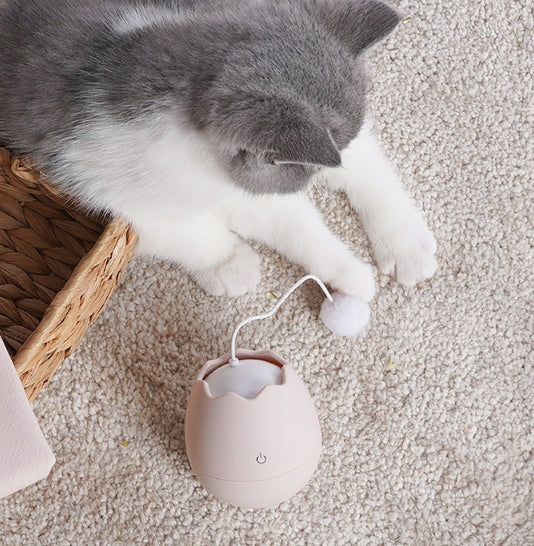 Funny Interactive Pet Toy