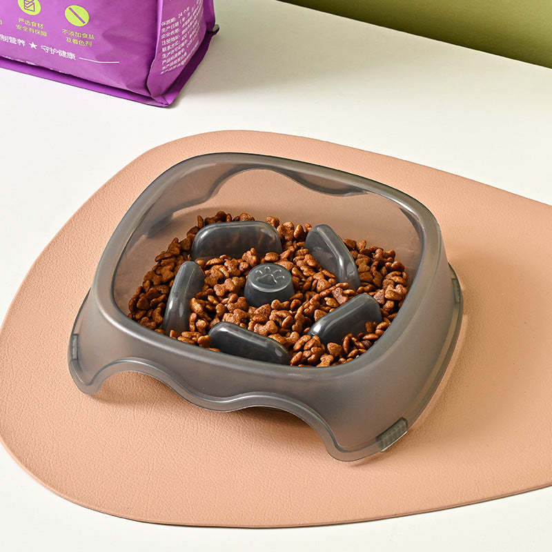 Pet Slow Feed Anti-Choke Water and Food Bowl