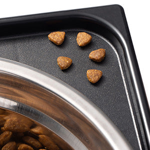 Pet Elevated Feeding Bowl Neck Protection Anti-Tip Design