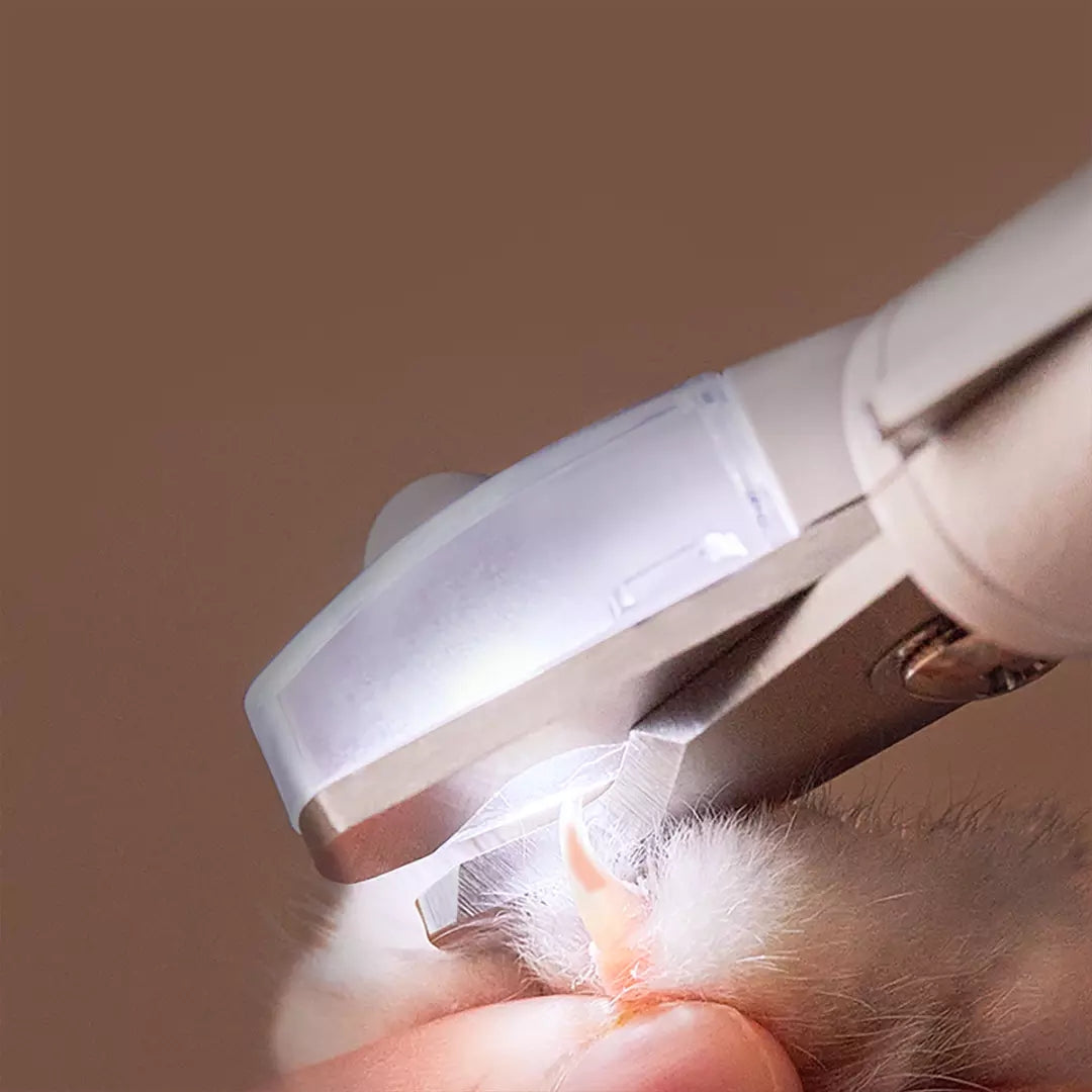 Professional Pet Nail Clippers Scissors LED Light Trimmer