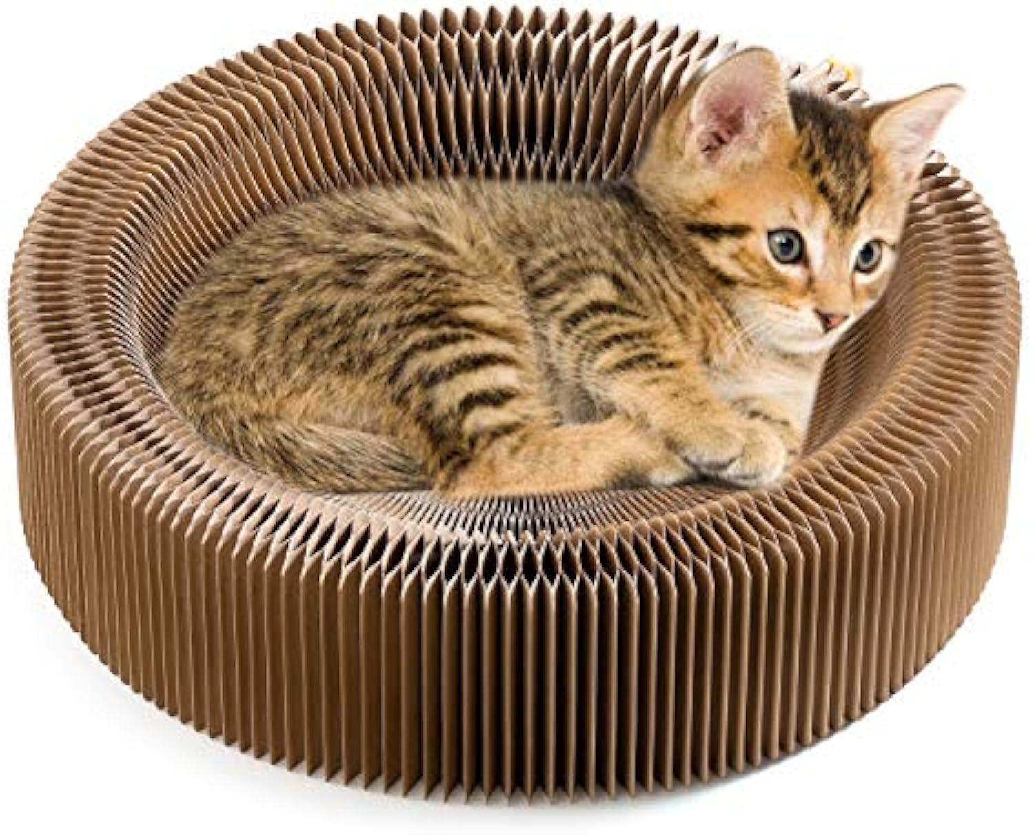 Collapsible Pet Scratcher Lounge Bed Corrugated
