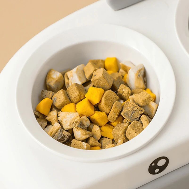 Duck Design Pet Double Feeding Bowl Tray