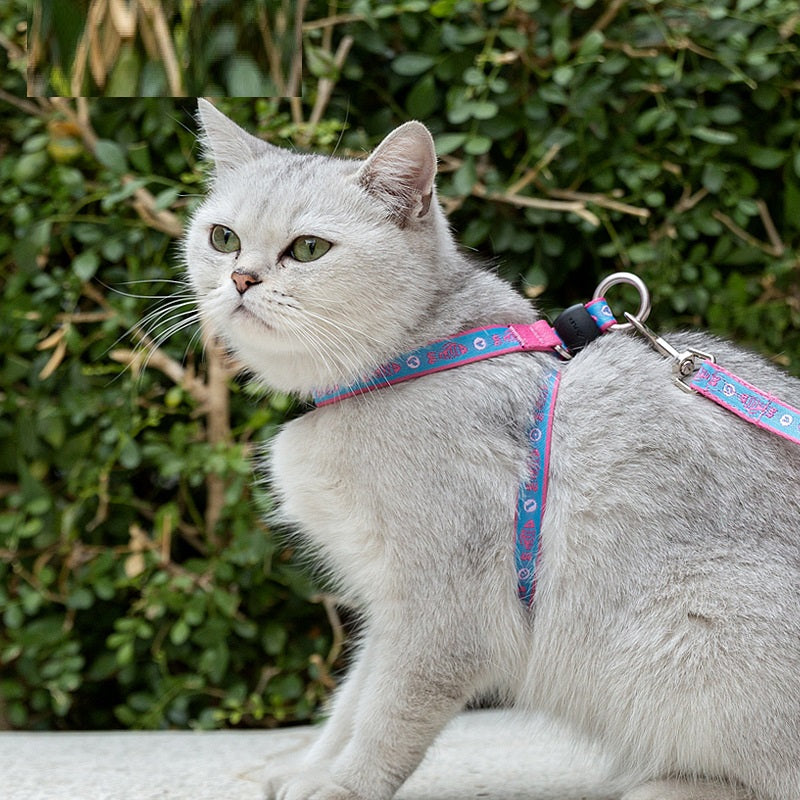 Pet Adjustable Harness Vest With Bell And Leash Set