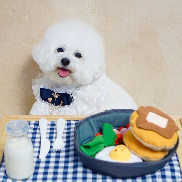 Pet Hide-and-Seek Food Toy