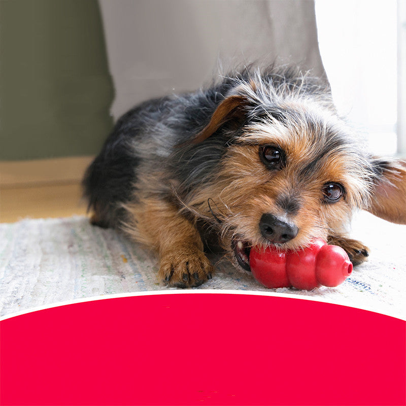 Bite Resistant Rubber Chew Toy For Pets