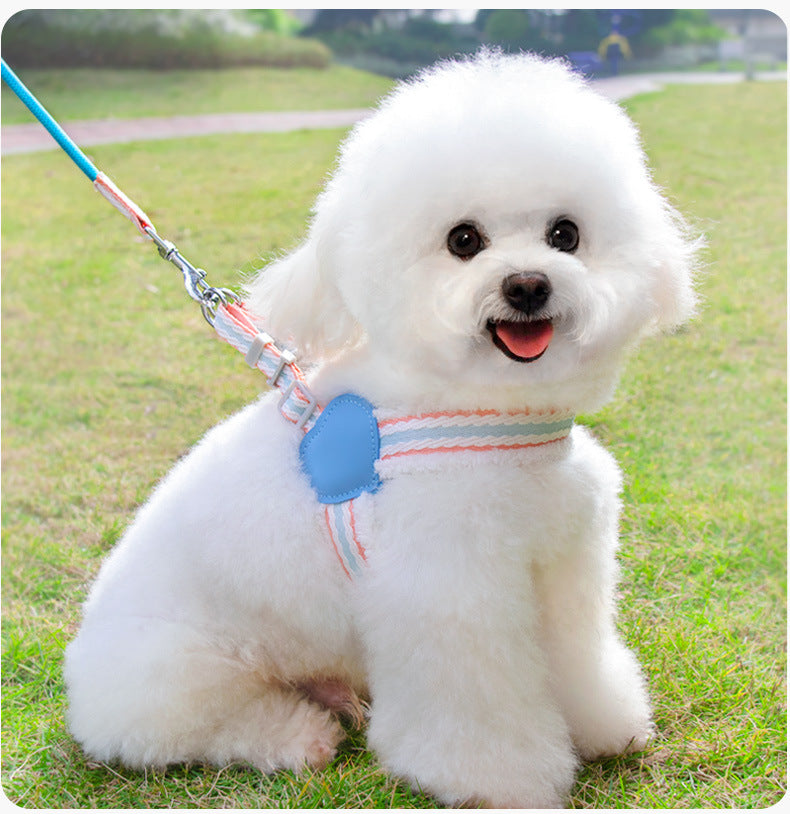 Breathable Summer Pet Harness Leash Small Medium