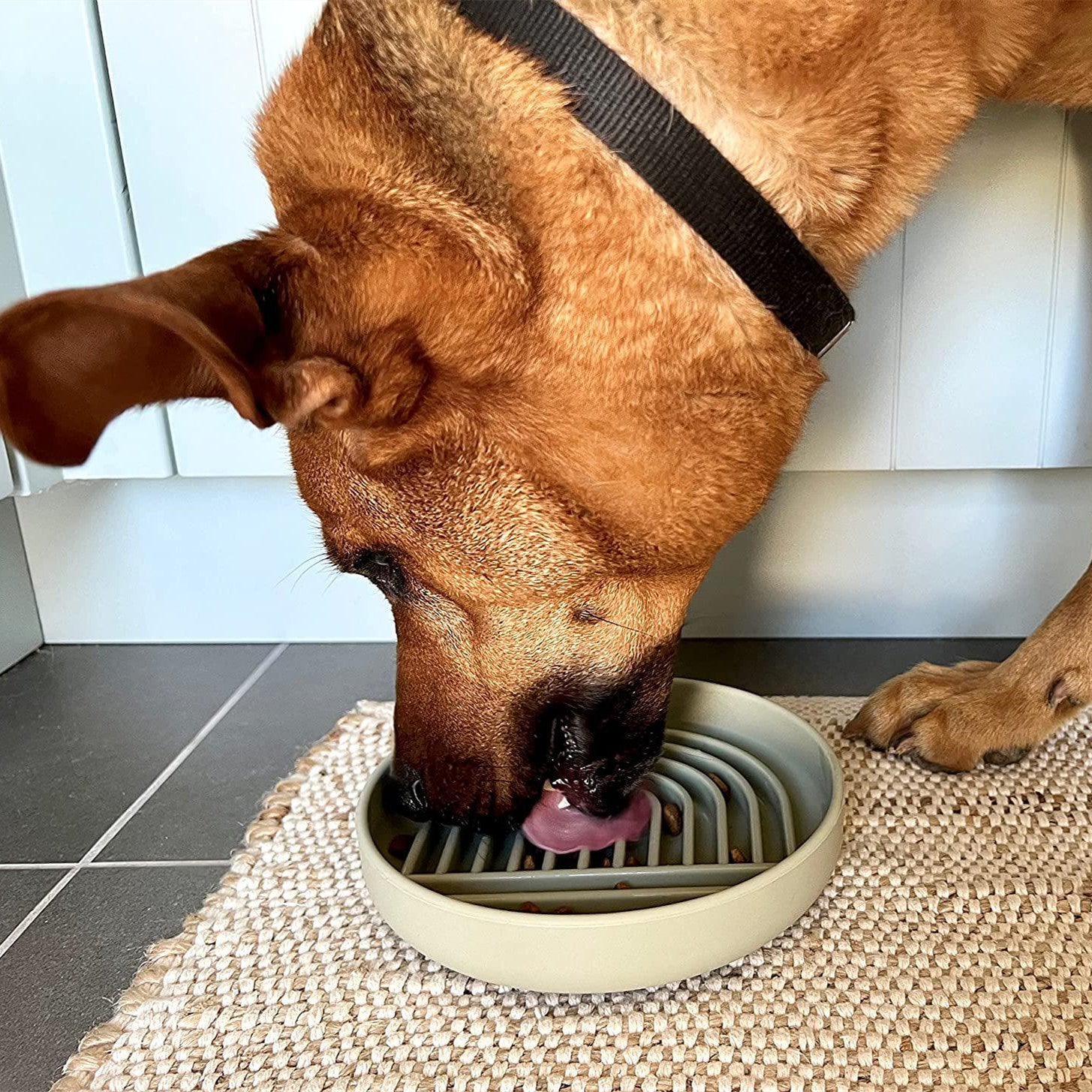 Pet Slow Feeding Bowl Anti-Choke Food Dish