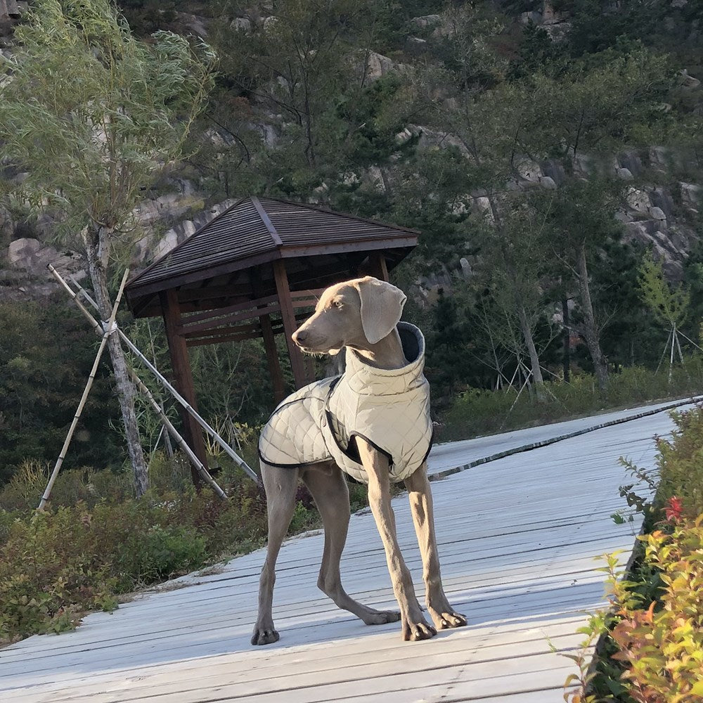 Pet Reflective Tactical Full-Body Jacket Clothing
